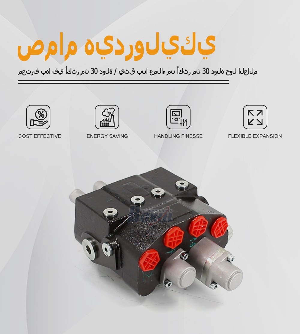 Mass Production of HSDM80-QTWDD-OTDD 2 Spool Directional Valves